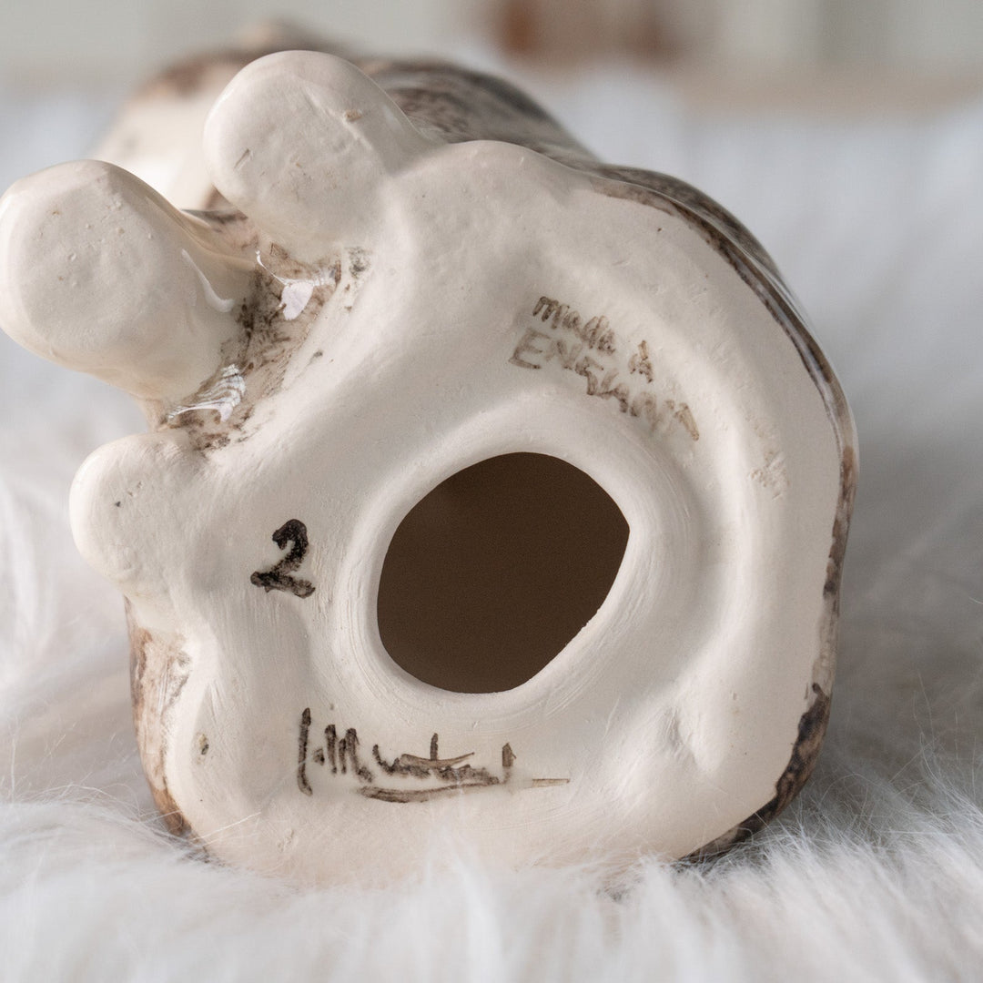 【Winstanley Cat ウィンスタンレイ キャット】きりっとした瞳でこちらを見つめる シルバータビー サバトラ猫 /25L