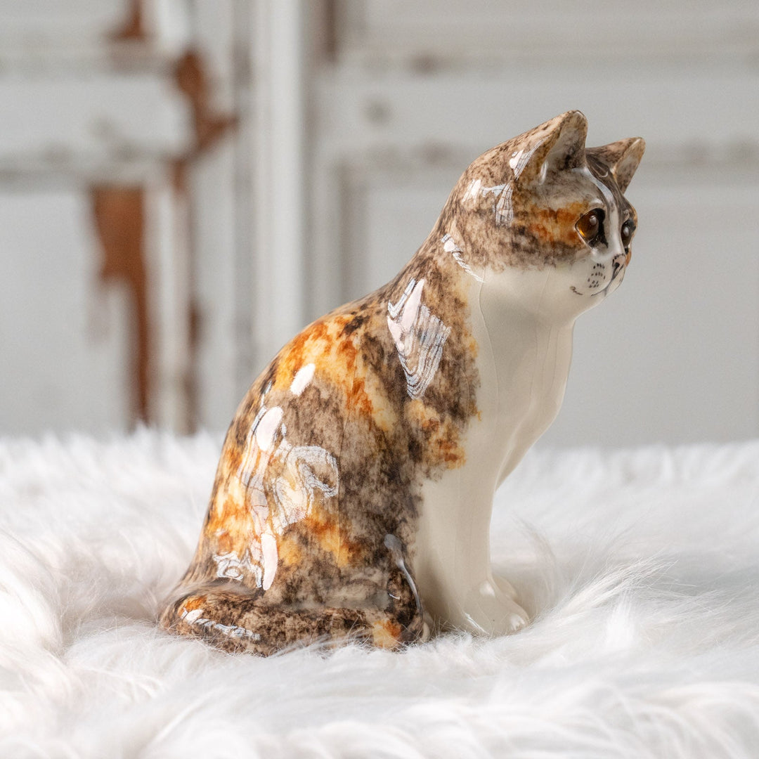 【Winstanley Cat ウィンスタンレイ キャット】こちらを警戒してる表情がリアル キャリコタビー 三毛トラ猫 /25L