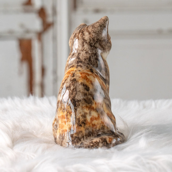 【Winstanley Cat ウィンスタンレイ キャット】こちらを警戒してる表情がリアル キャリコタビー 三毛トラ猫 /25L