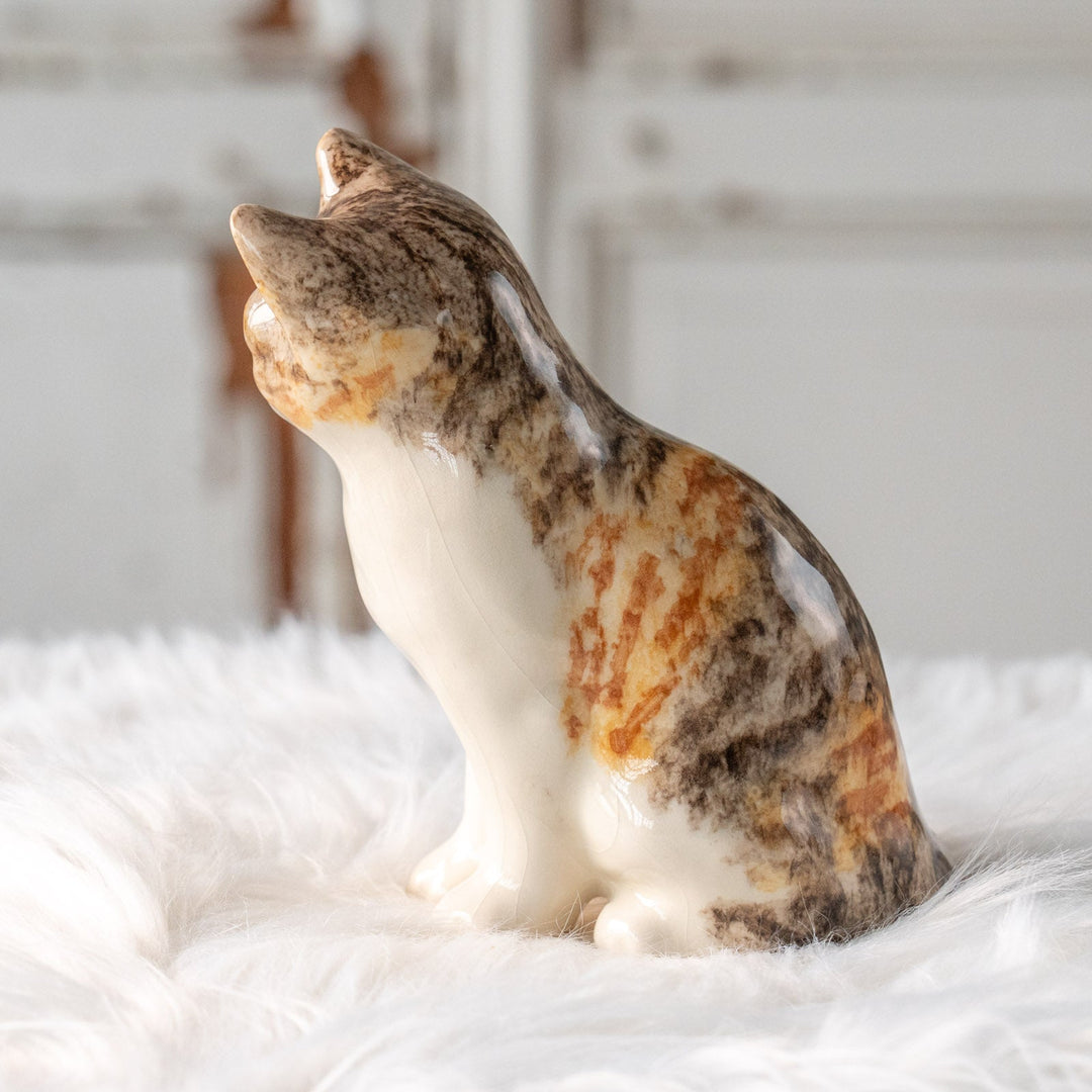 【Winstanley Cat ウィンスタンレイ キャット】こちらを警戒してる表情がリアル キャリコタビー 三毛トラ猫 /25L