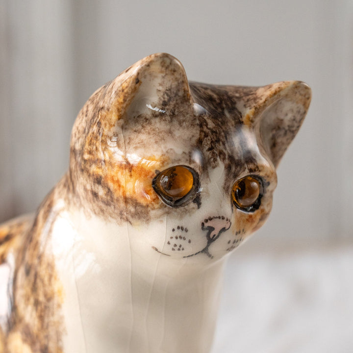 【Winstanley Cat ウィンスタンレイ キャット】こちらを警戒してる表情がリアル キャリコタビー 三毛トラ猫 /25L