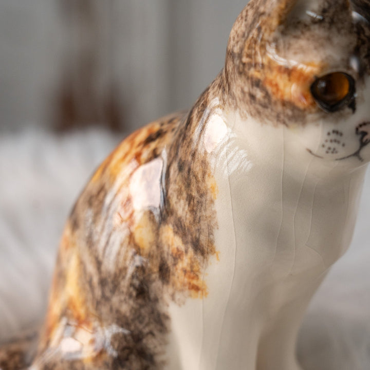 【Winstanley Cat ウィンスタンレイ キャット】こちらを警戒してる表情がリアル キャリコタビー 三毛トラ猫 /25L