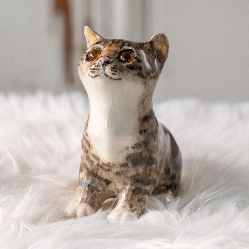 Winstanley Cat ウィンスタンレイ キャット】キラキラした瞳で上を