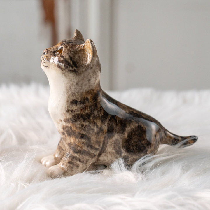 【Winstanley Cat ウィンスタンレイ キャット】キラキラした瞳で上を見つめる ブラウンタビー キジトラ猫 /25L