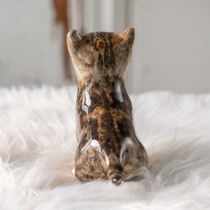 【Winstanley Cat ウィンスタンレイ キャット】キラキラした瞳で上を見つめる ブラウンタビー キジトラ猫 /25L