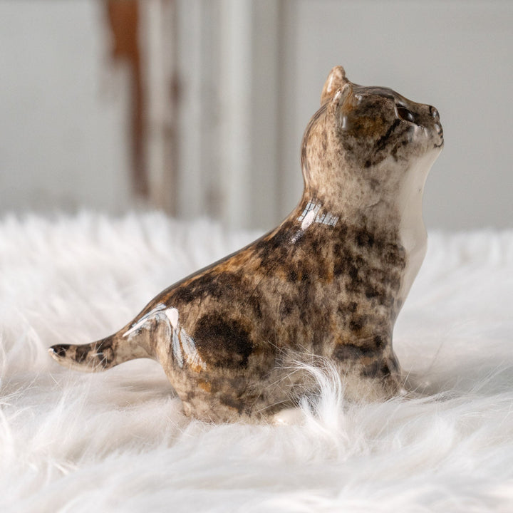 【Winstanley Cat ウィンスタンレイ キャット】キラキラした瞳で上を見つめる ブラウンタビー キジトラ猫 /25L