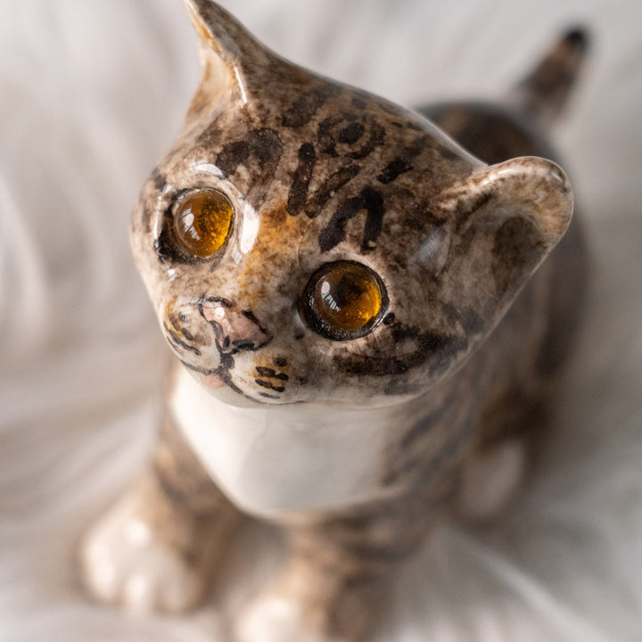 【Winstanley Cat ウィンスタンレイ キャット】キラキラした瞳で上を見つめる ブラウンタビー キジトラ猫 /25L