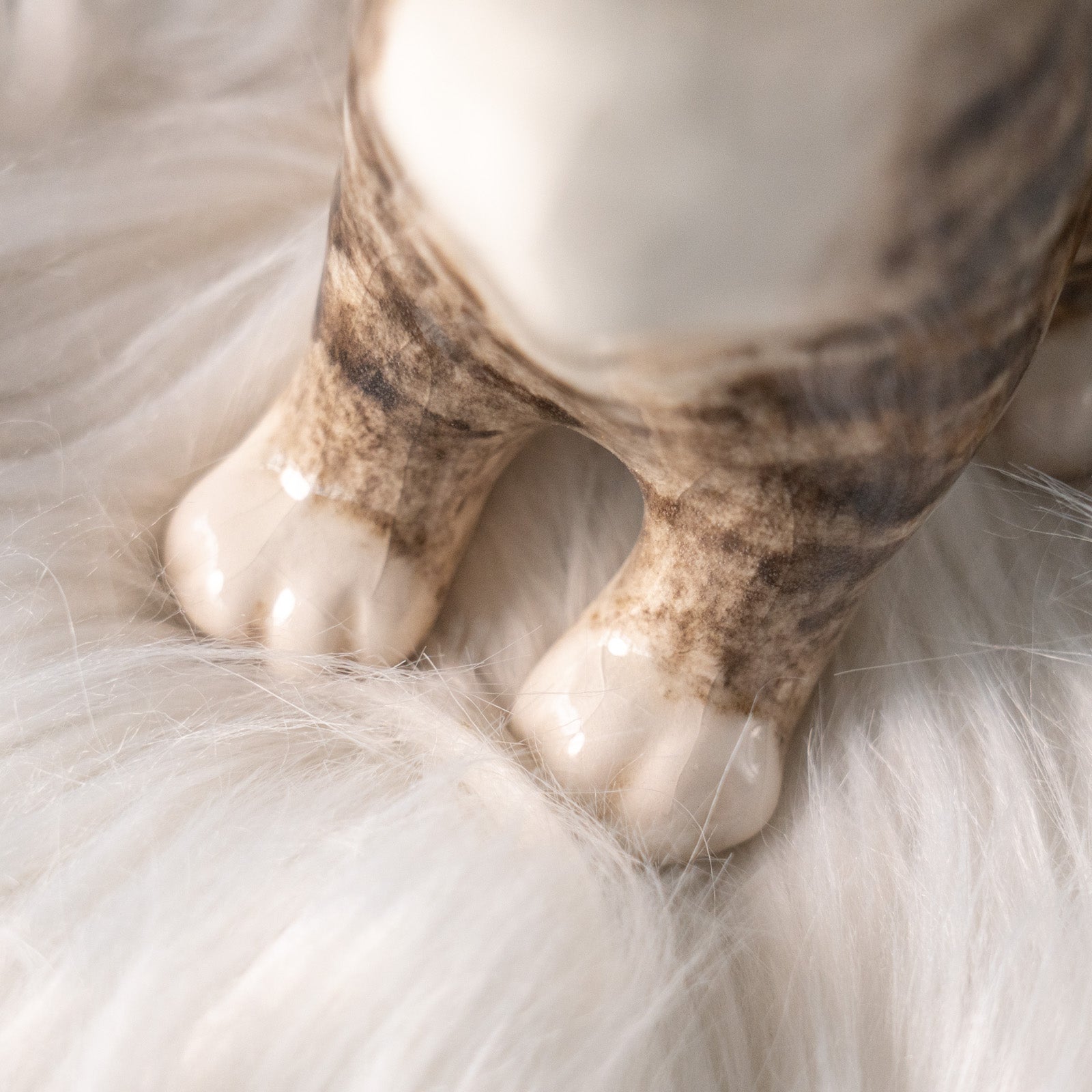 Winstanley Cat ウィンスタンレイ キャット】キラキラした瞳で上を