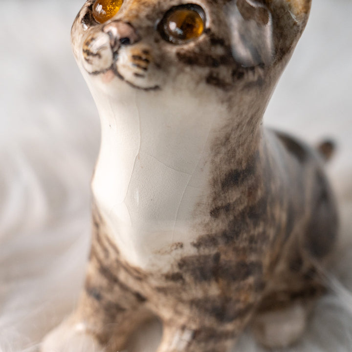 【Winstanley Cat ウィンスタンレイ キャット】キラキラした瞳で上を見つめる ブラウンタビー キジトラ猫 /25L