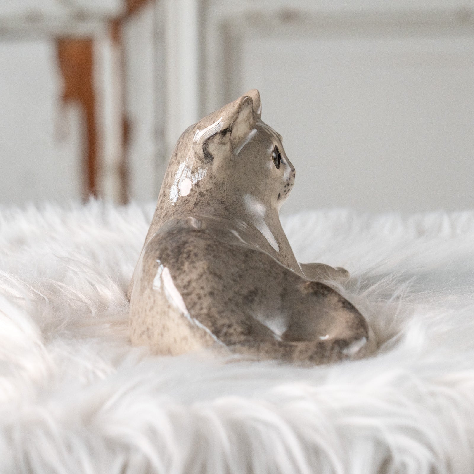 Winstanley Cat ウィンスタンレイ キャット】リラックスして寝そべる姿