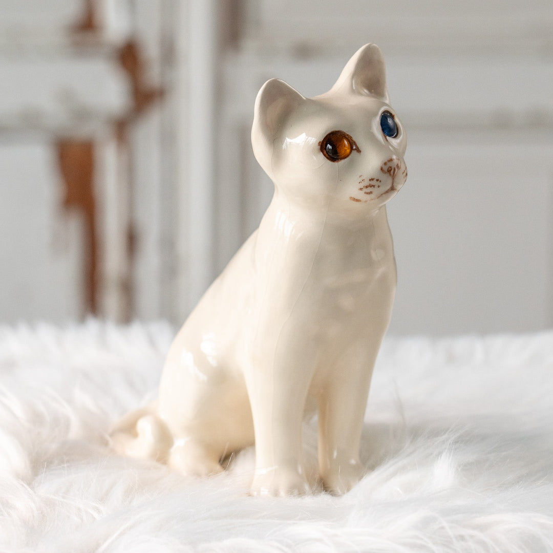 【Winstanley Cat ウィンスタンレイ キャット】大きく美しいオッドアイが神秘的 スノーウィー 白猫 /25L