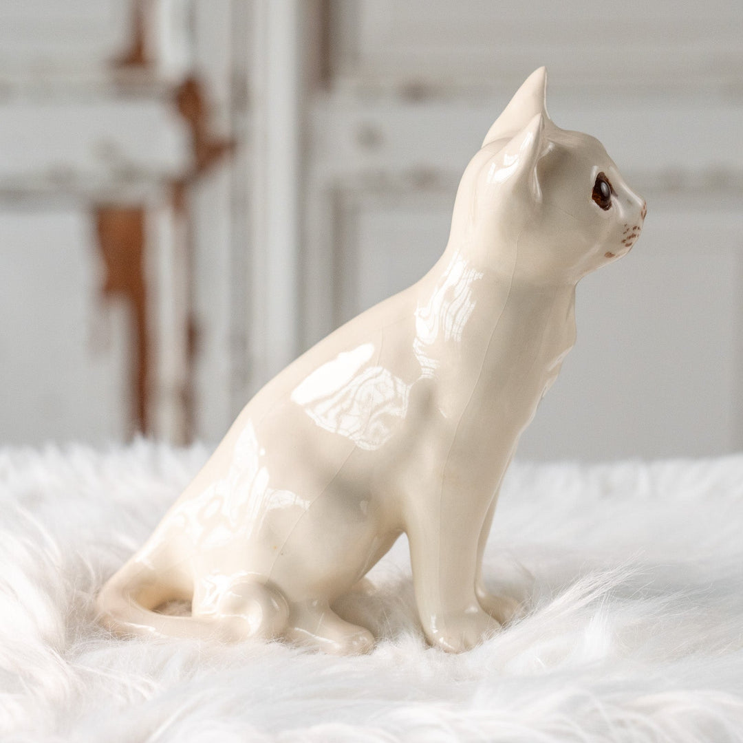 【Winstanley Cat ウィンスタンレイ キャット】大きく美しいオッドアイが神秘的 スノーウィー 白猫 /25L