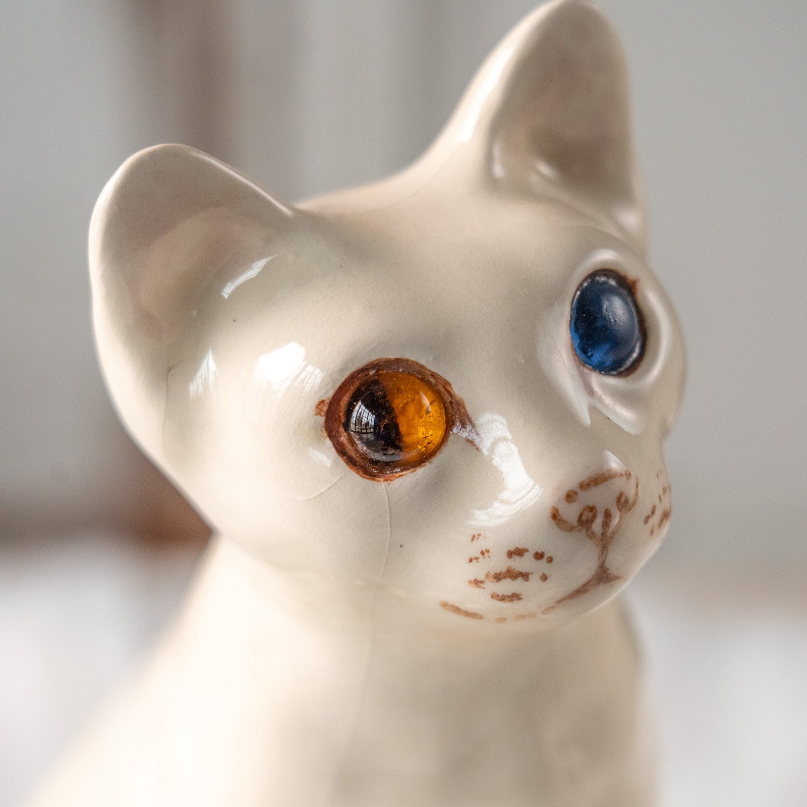 Winstanley Cat ウィンスタンレイ キャット】大きく美しいオッドアイが