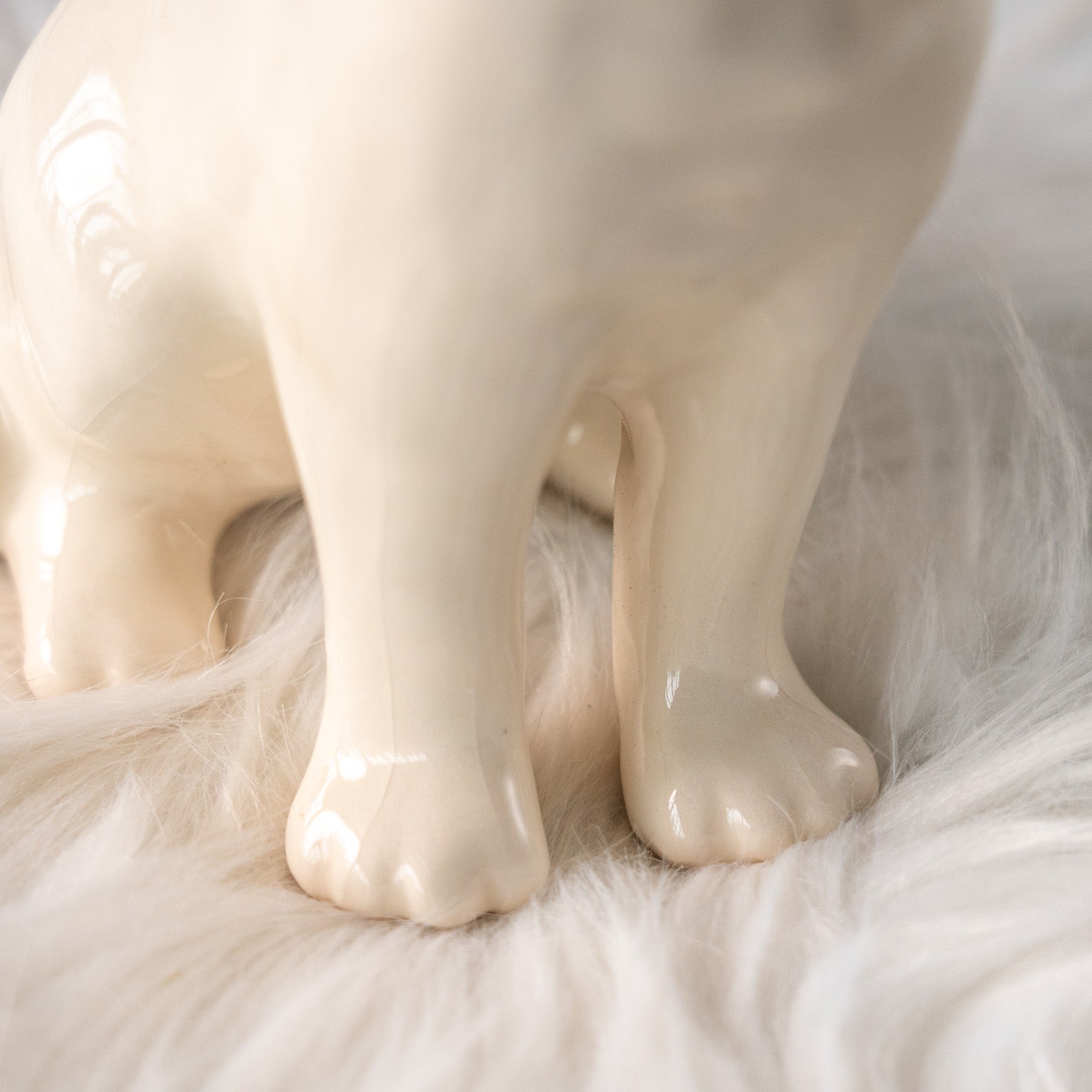 Winstanley Cat ウィンスタンレイ キャット】大きく美しいオッドアイが