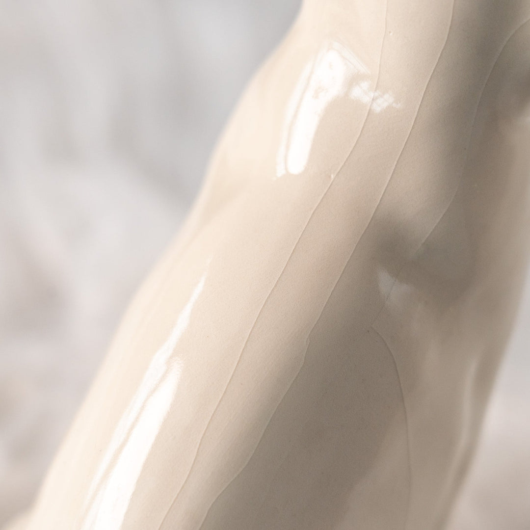 【Winstanley Cat ウィンスタンレイ キャット】大きく美しいオッドアイが神秘的 スノーウィー 白猫 /25L