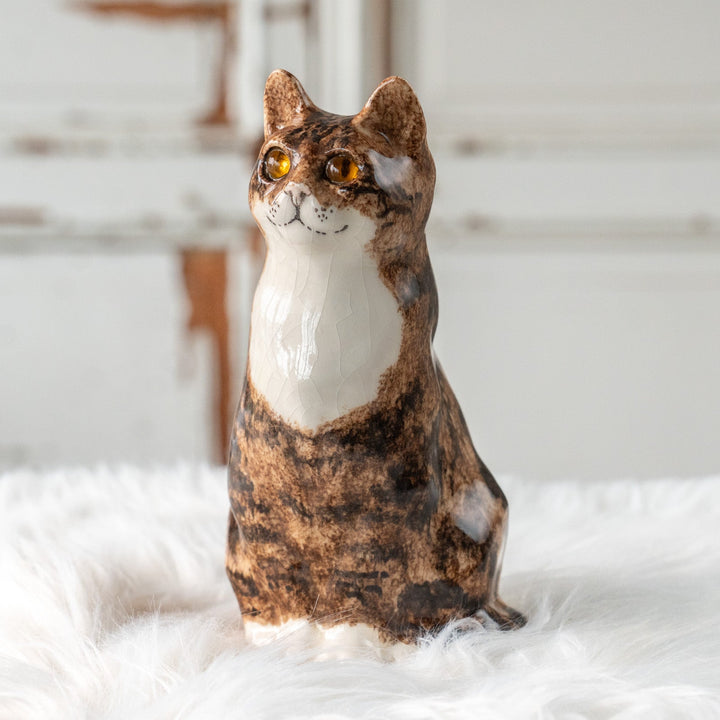 【Winstanley Cat ウィンスタンレイ キャット】ちょこんと座った姿が可愛らしい ブラウンタビー 茶トラ /25J