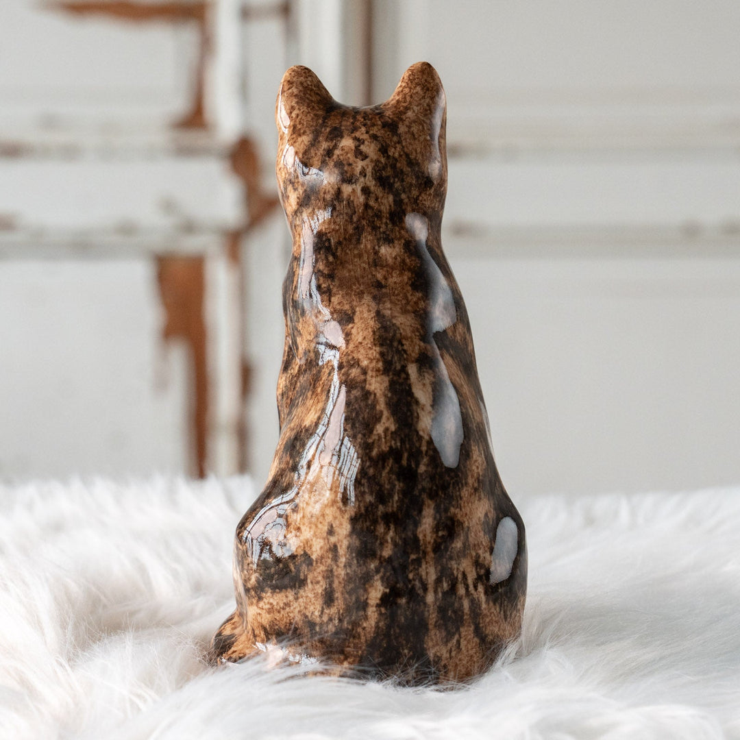 【Winstanley Cat ウィンスタンレイ キャット】ちょこんと座った姿が可愛らしい ブラウンタビー 茶トラ /25J