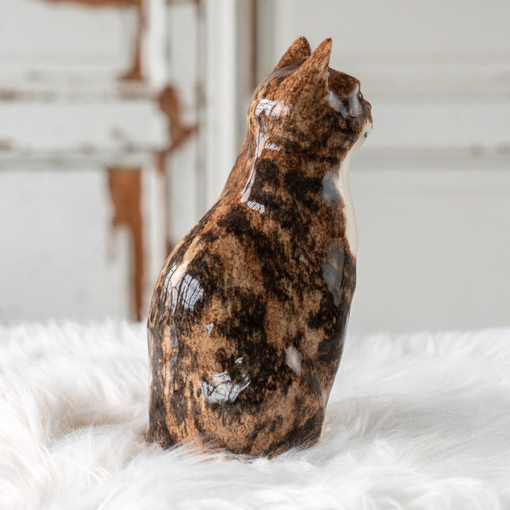 【Winstanley Cat ウィンスタンレイ キャット】ちょこんと座った姿が可愛らしい ブラウンタビー 茶トラ /25J