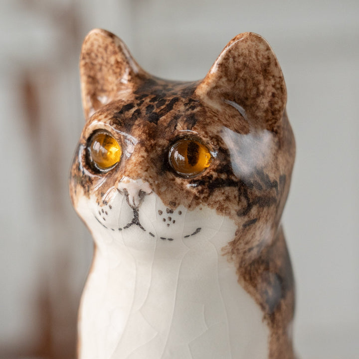 【Winstanley Cat ウィンスタンレイ キャット】ちょこんと座った姿が可愛らしい ブラウンタビー 茶トラ /25J