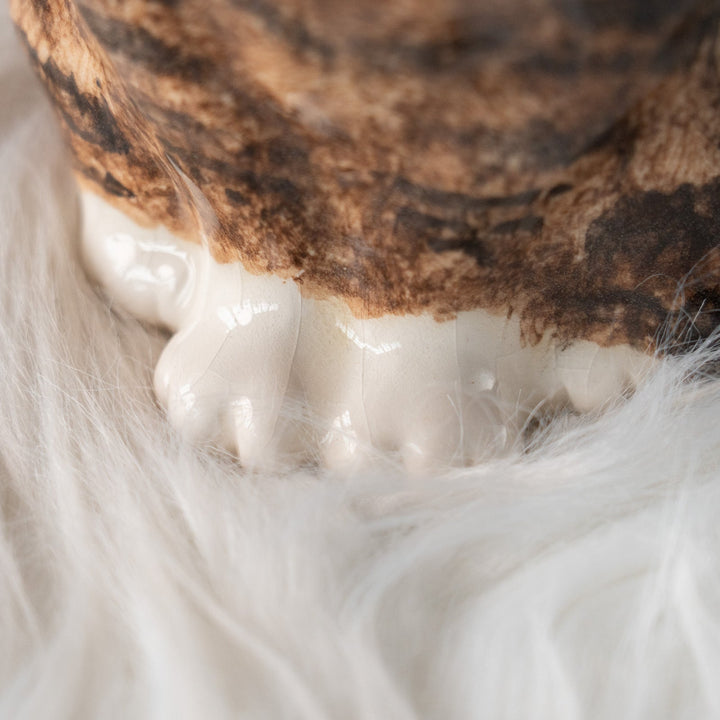 【Winstanley Cat ウィンスタンレイ キャット】ちょこんと座った姿が可愛らしい ブラウンタビー 茶トラ /25J