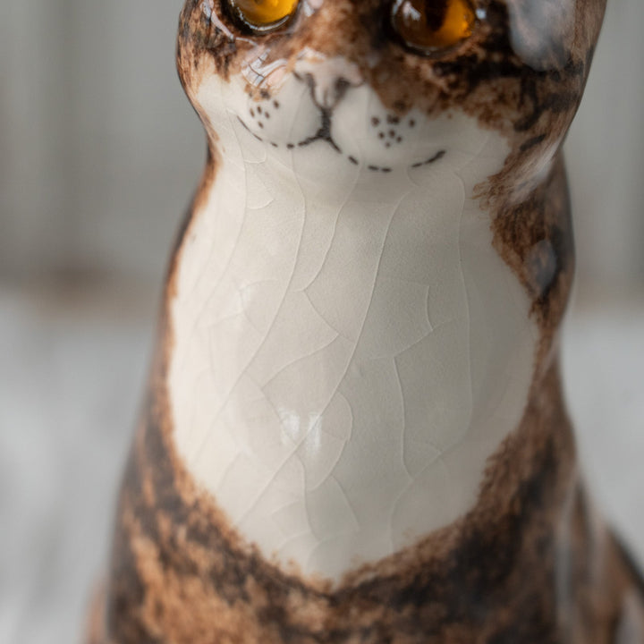 【Winstanley Cat ウィンスタンレイ キャット】ちょこんと座った姿が可愛らしい ブラウンタビー 茶トラ /25J