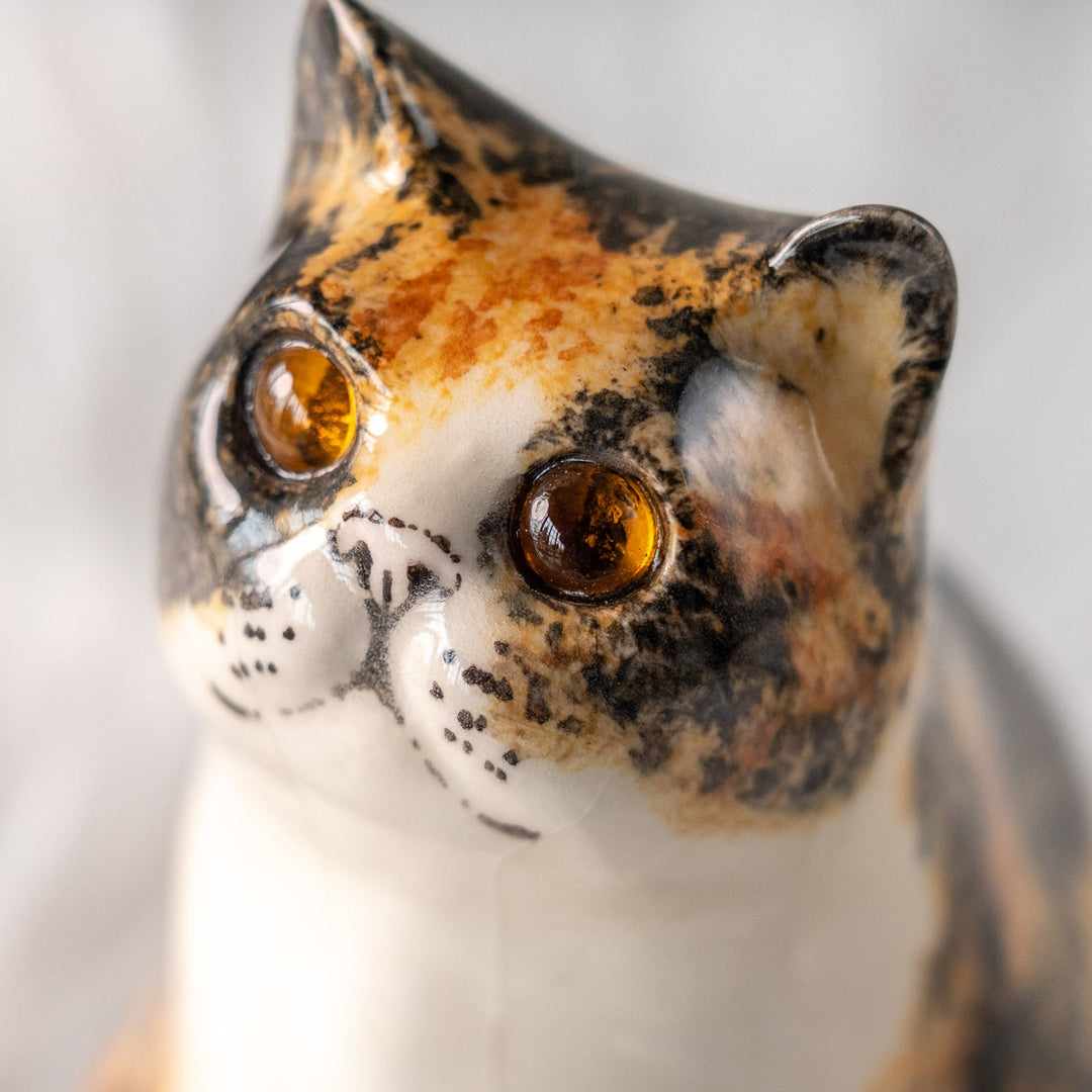 【Winstanley Cat ウィンスタンレイ キャット】どっしりしたフォルムがたまらない可愛さ キャリコ 三毛猫 /25L