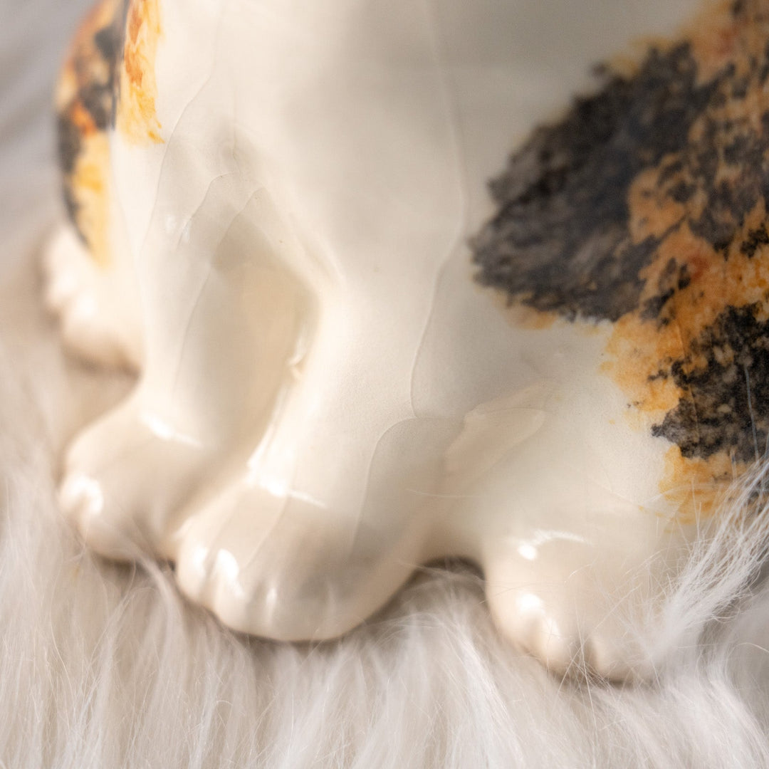 【Winstanley Cat ウィンスタンレイ キャット】どっしりしたフォルムがたまらない可愛さ キャリコ 三毛猫 /25L