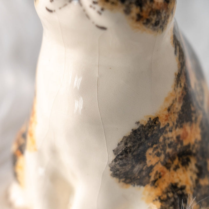 【Winstanley Cat ウィンスタンレイ キャット】どっしりしたフォルムがたまらない可愛さ キャリコ 三毛猫 /25L