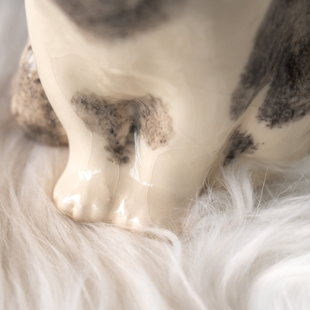 【Winstanley Cat ウィンスタンレイ キャット】胸元のハートマークがチャームポイント バイカラー ブチ猫 /25L