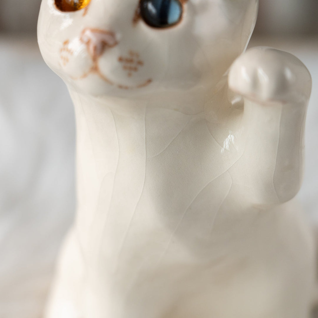 【Winstanley Cat ウィンスタンレイ キャット】招き猫を思わせるフォルムが印象的 オッドアイ スノーウィー 白猫 /25L