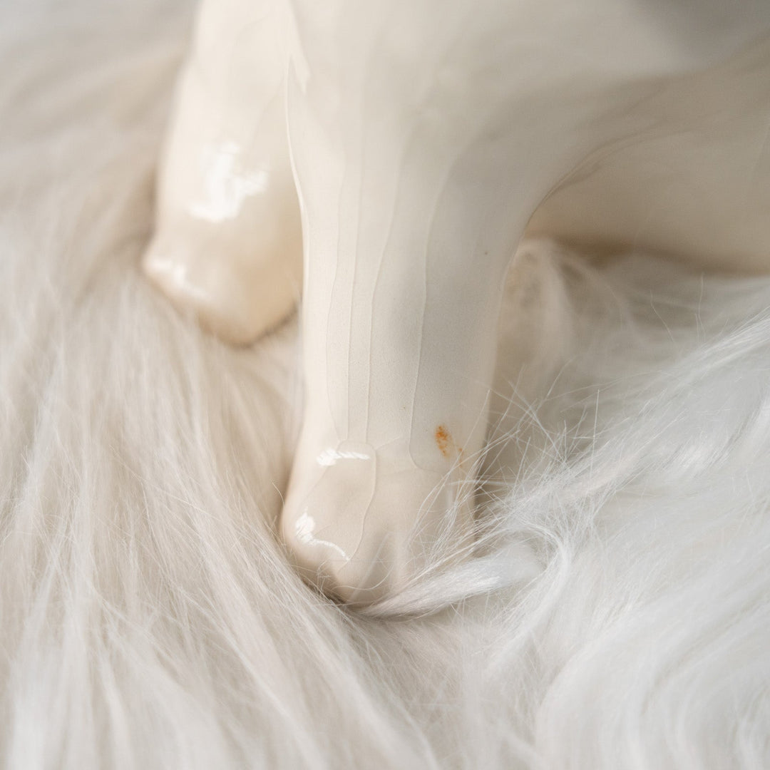 【Winstanley Cat ウィンスタンレイ キャット】招き猫を思わせるフォルムが印象的 オッドアイ スノーウィー 白猫 /25L