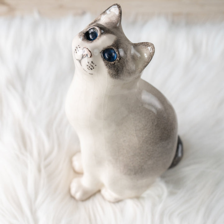 【Winstanley Cat ウィンスタンレイ キャット】気になるものを目で追う仕草をリアルに表現 ブルーアイ サイアミーズ /25L