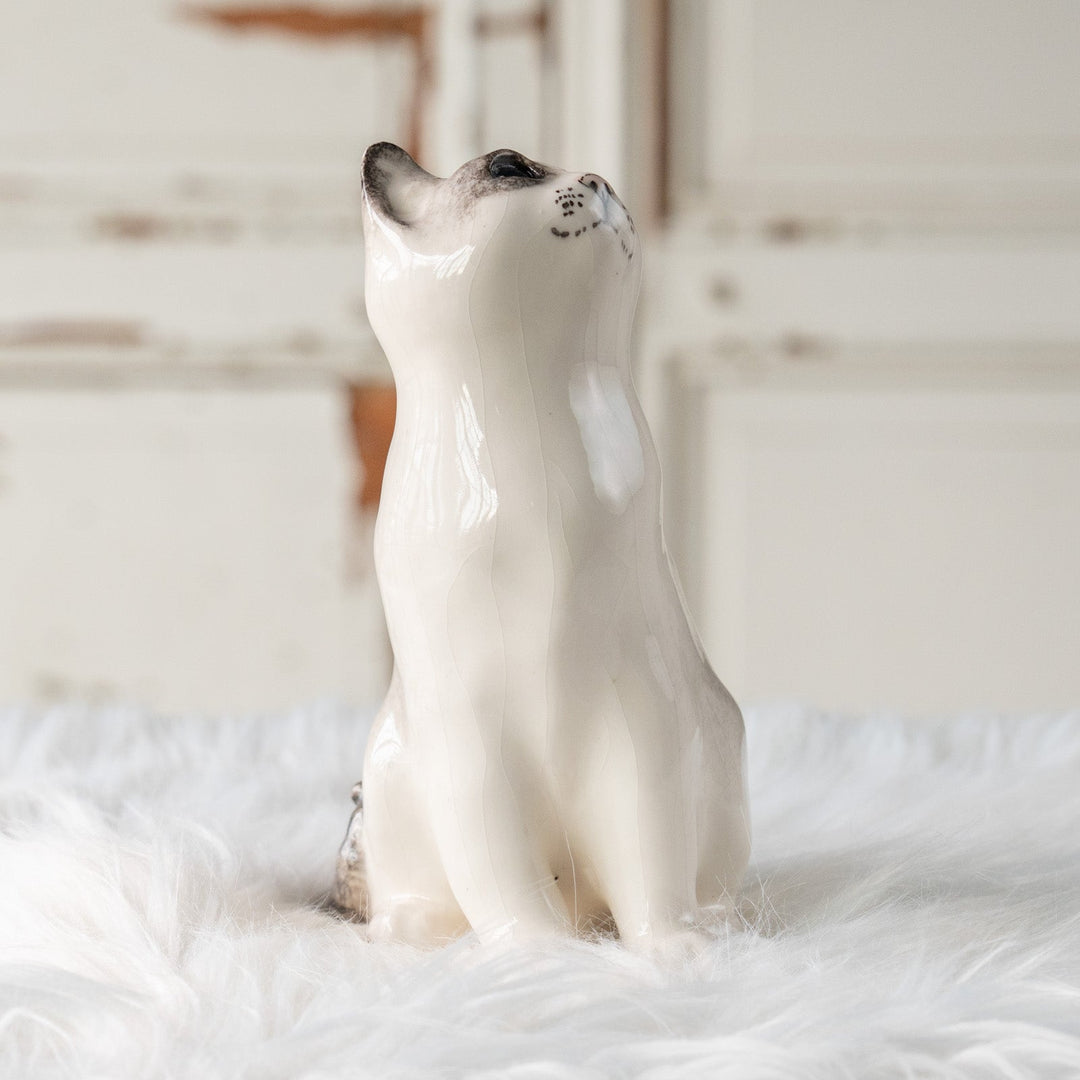 【Winstanley Cat ウィンスタンレイ キャット】気になるものを目で追う仕草をリアルに表現 ブルーアイ サイアミーズ /25L