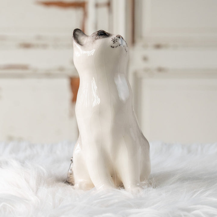 【Winstanley Cat ウィンスタンレイ キャット】気になるものを目で追う仕草をリアルに表現 ブルーアイ サイアミーズ /25L