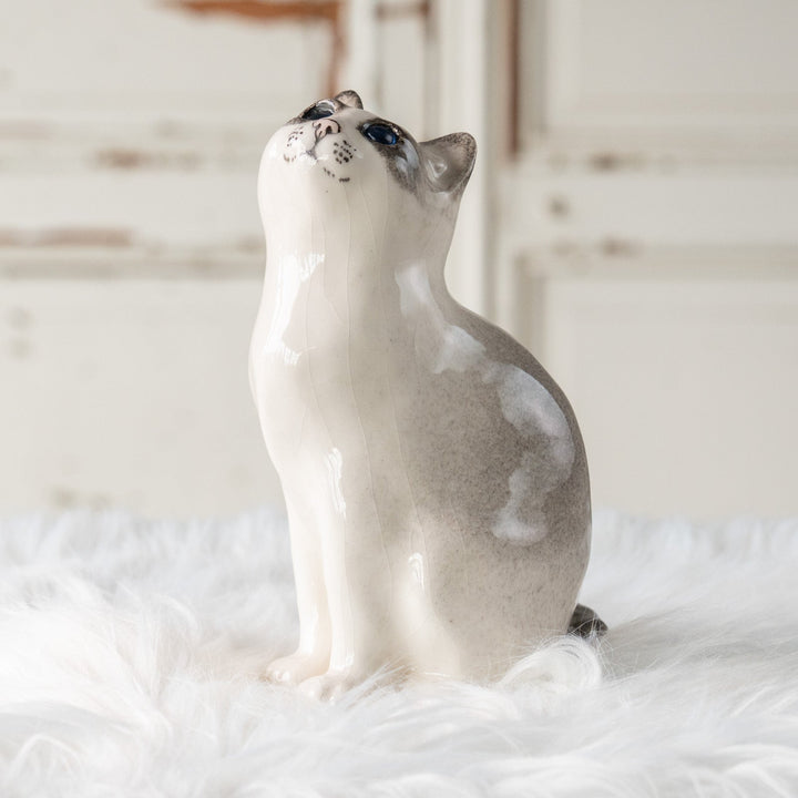 【Winstanley Cat ウィンスタンレイ キャット】気になるものを目で追う仕草をリアルに表現 ブルーアイ サイアミーズ /25L