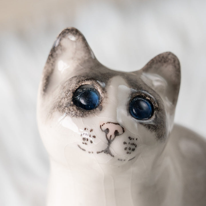 【Winstanley Cat ウィンスタンレイ キャット】気になるものを目で追う仕草をリアルに表現 ブルーアイ サイアミーズ /25L