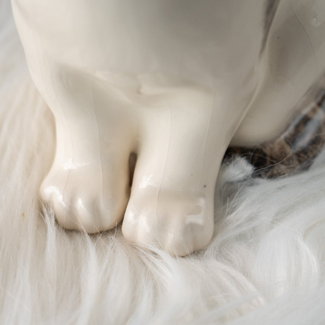 【Winstanley Cat ウィンスタンレイ キャット】ちょこんと座った姿が可愛らしい バイカラー ブチ猫 /25L