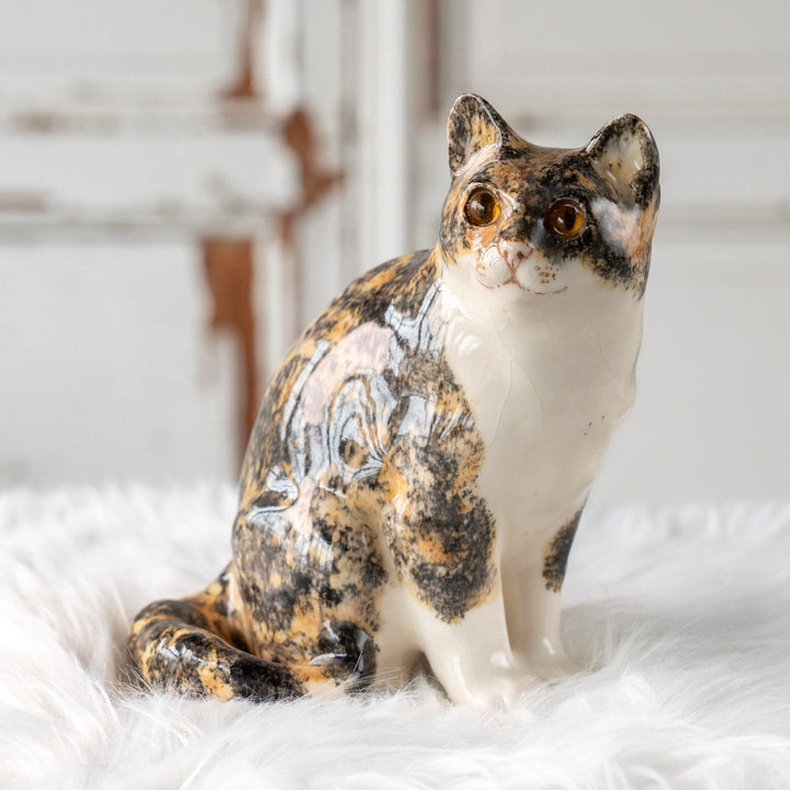 【Winstanley Cat ウィンスタンレイ キャット】きりっとした瞳でこちらを見つめる キャリコ 三毛猫 /25L