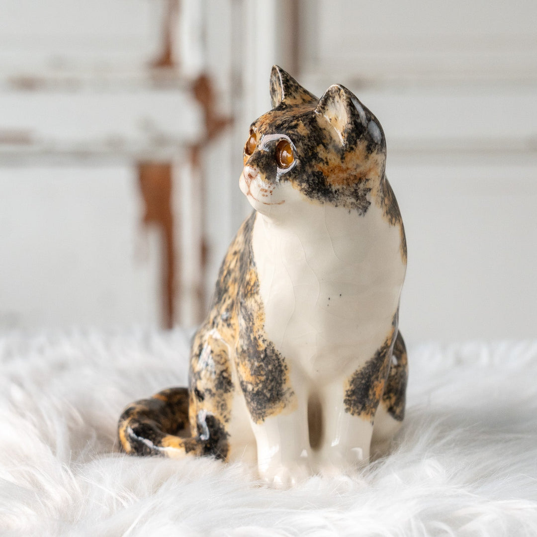 【Winstanley Cat ウィンスタンレイ キャット】きりっとした瞳でこちらを見つめる キャリコ 三毛猫 /25L