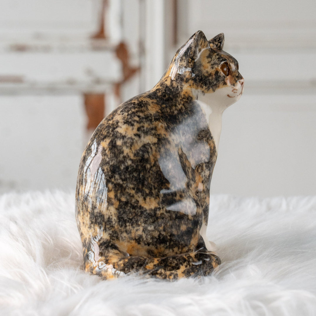 【Winstanley Cat ウィンスタンレイ キャット】きりっとした瞳でこちらを見つめる キャリコ 三毛猫 /25L