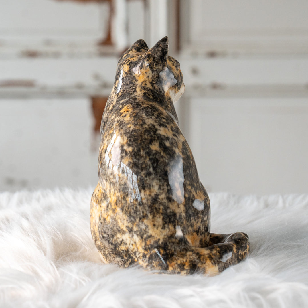 【Winstanley Cat ウィンスタンレイ キャット】きりっとした瞳でこちらを見つめる キャリコ 三毛猫 /25L