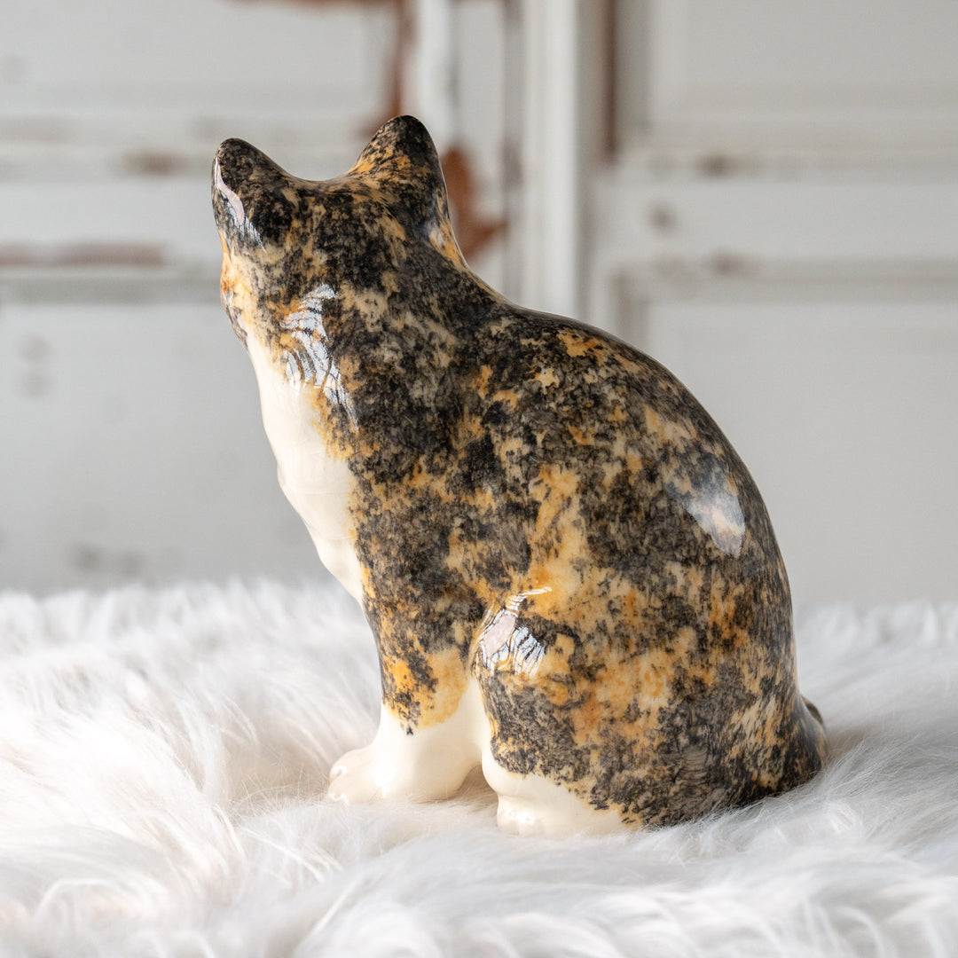 【Winstanley Cat ウィンスタンレイ キャット】きりっとした瞳でこちらを見つめる キャリコ 三毛猫 /25L