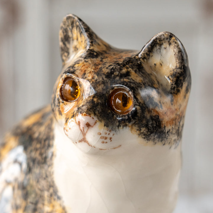 【Winstanley Cat ウィンスタンレイ キャット】きりっとした瞳でこちらを見つめる キャリコ 三毛猫 /25L