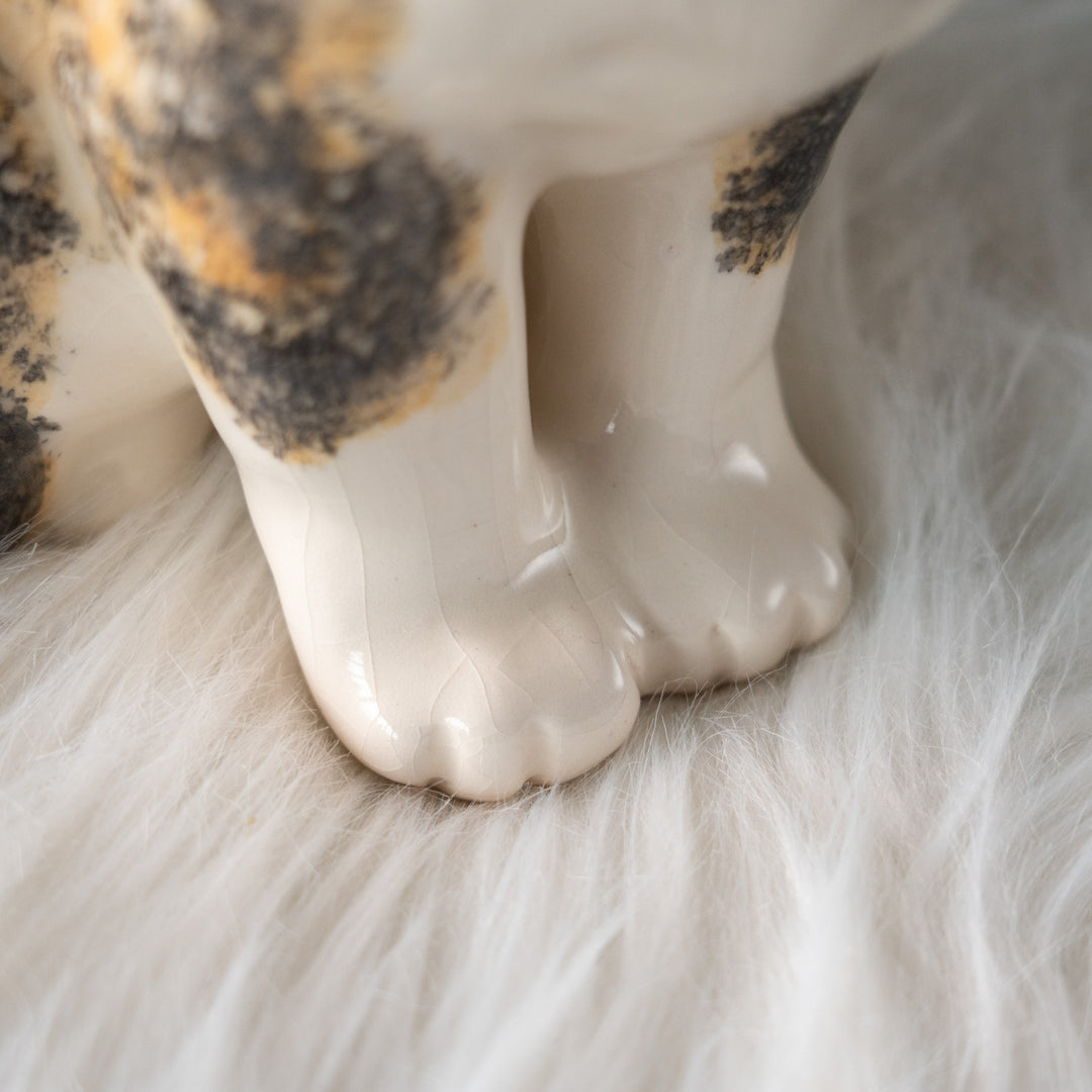 【Winstanley Cat ウィンスタンレイ キャット】きりっとした瞳でこちらを見つめる キャリコ 三毛猫 /25L