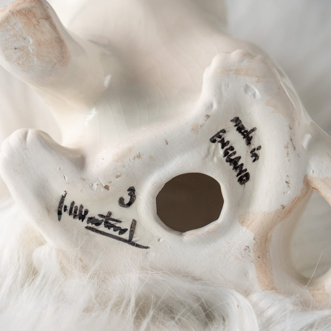 【Winstanley Cat ウィンスタンレイ キャット】招き猫を思わせるフォルムが印象的 ブルーアイ スノーウィー 白猫 /25L