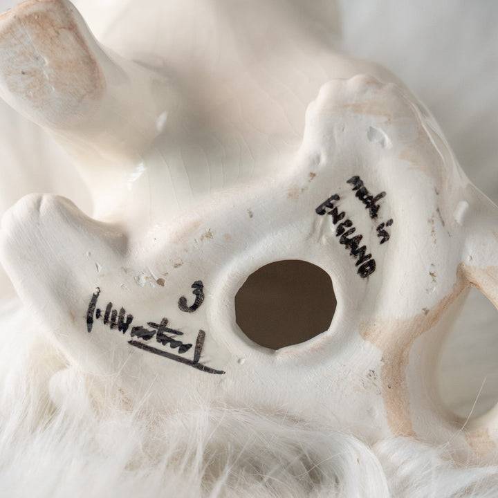 【Winstanley Cat ウィンスタンレイ キャット】招き猫を思わせるフォルムが印象的 ブルーアイ スノーウィー 白猫 /25L