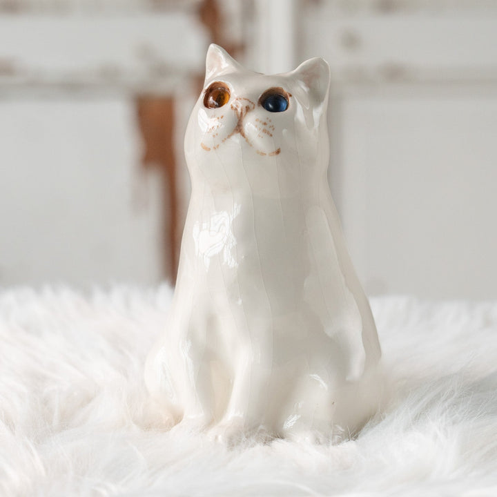 【Winstanley Cat ウィンスタンレイ キャット】どっしりしたフォルムがたまらない可愛さ オッドアイ スノーウィ 白猫 /25L