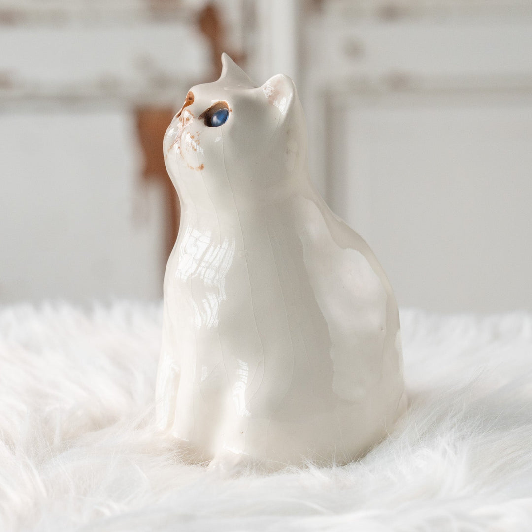 【Winstanley Cat ウィンスタンレイ キャット】どっしりしたフォルムがたまらない可愛さ オッドアイ スノーウィ 白猫 /25L