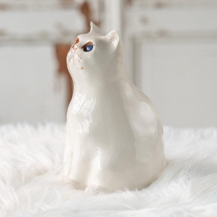 【Winstanley Cat ウィンスタンレイ キャット】どっしりしたフォルムがたまらない可愛さ オッドアイ スノーウィ 白猫 /25L