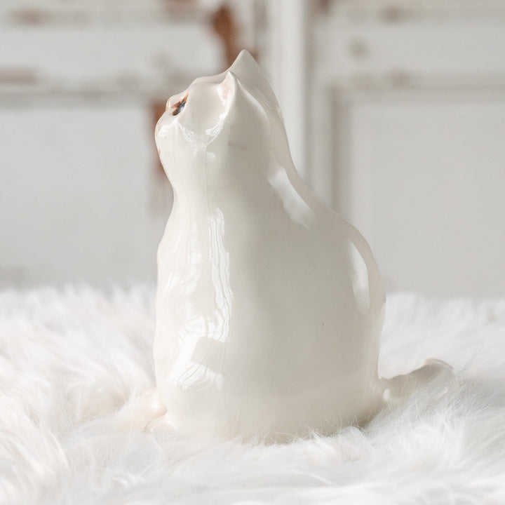 【Winstanley Cat ウィンスタンレイ キャット】どっしりしたフォルムがたまらない可愛さ オッドアイ スノーウィ 白猫 /25L